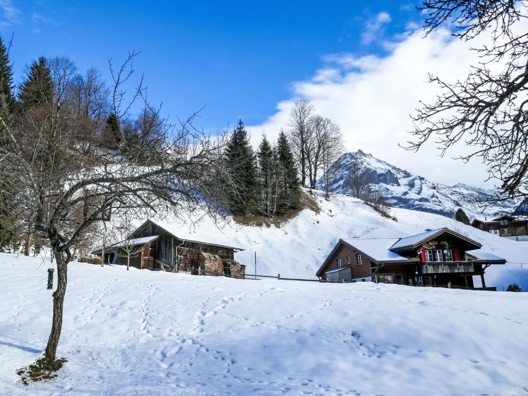 Apartment Chalet Schwendihus-11 By Interhome Grindelwald Exterior photo